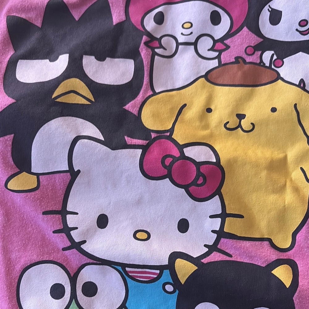Hello Kitty & Friends - Picture 3 of 4